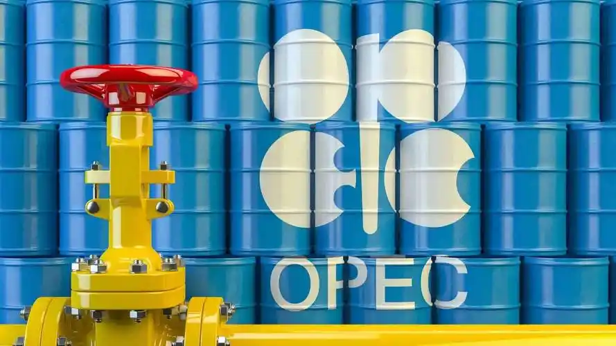 国际能源署称，OPEC+加息后全球石油供应增长速度将快于预期