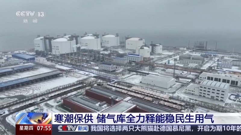 1769414318330004795.jpg 3.jpg