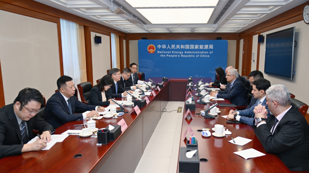 国家能源局负责人会见沙特阿美公司总裁