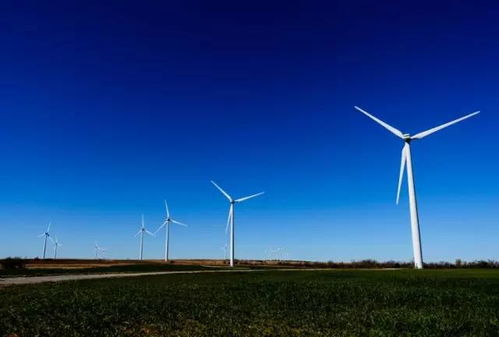 余国：应加快构建以我为主、自主可控的能源供应格局