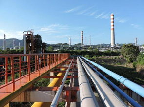 张国忠：建议将重庆设为天然气改革试验区 促进天然气勘探开发和综合利用