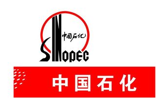 中国石化董事长马永生：预计境内成品油、天然气需求保持增长