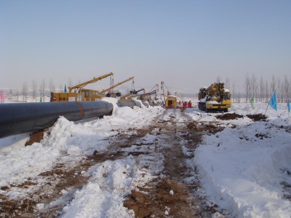 俄中两国有意加快远东路线和西伯利亚力量2号管道项目