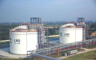 LNG工厂气线上交易开辟天然气市场化配置资源新渠道