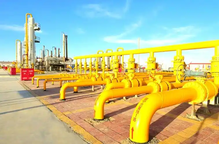 中国石油召开天然气冬季保供动员部署会