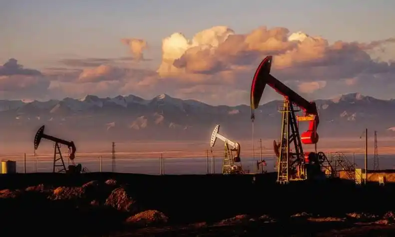 委内瑞拉代总统最新发声：将继续发展石油和天然气产业