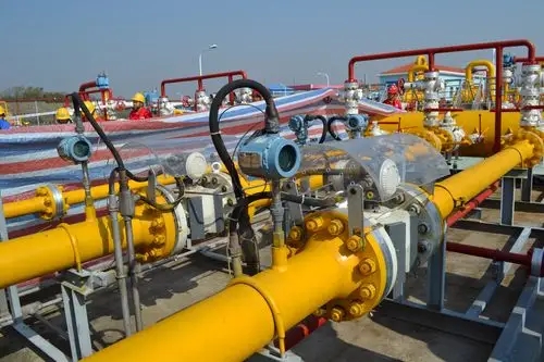 聂晓炜：加快形成油、气、新能源“三足鼎立”格局