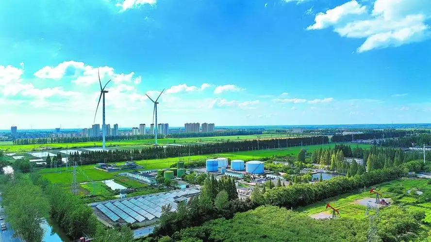 全球能源焦虑之下，中国为何能“风景独好”！