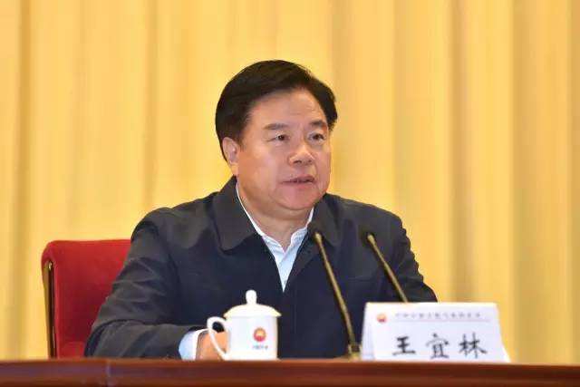 【聚焦两会】全国政协经济委员会副主任王宜林：进一步巩固和完善石油工业体系的思考与建议