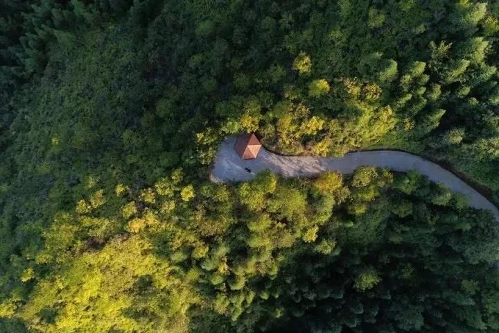 在能源需求不断增长的情况下 如何实现二氧化碳排放达峰？