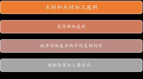 从可再生能源到生物柴油
