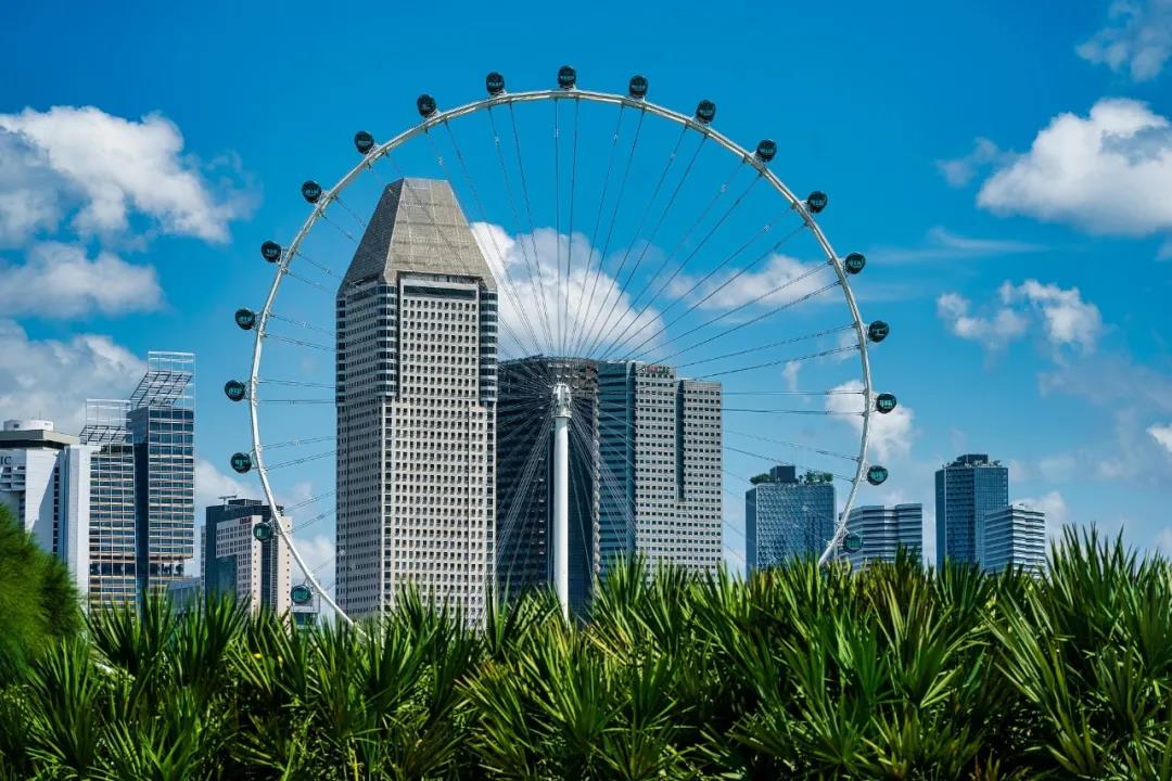 思想高地丨节能降碳窗口期来临，城市内生动力要这样激发
