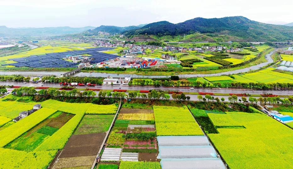 以三桶油为首的石油化工企业绿色低碳转型发展之路