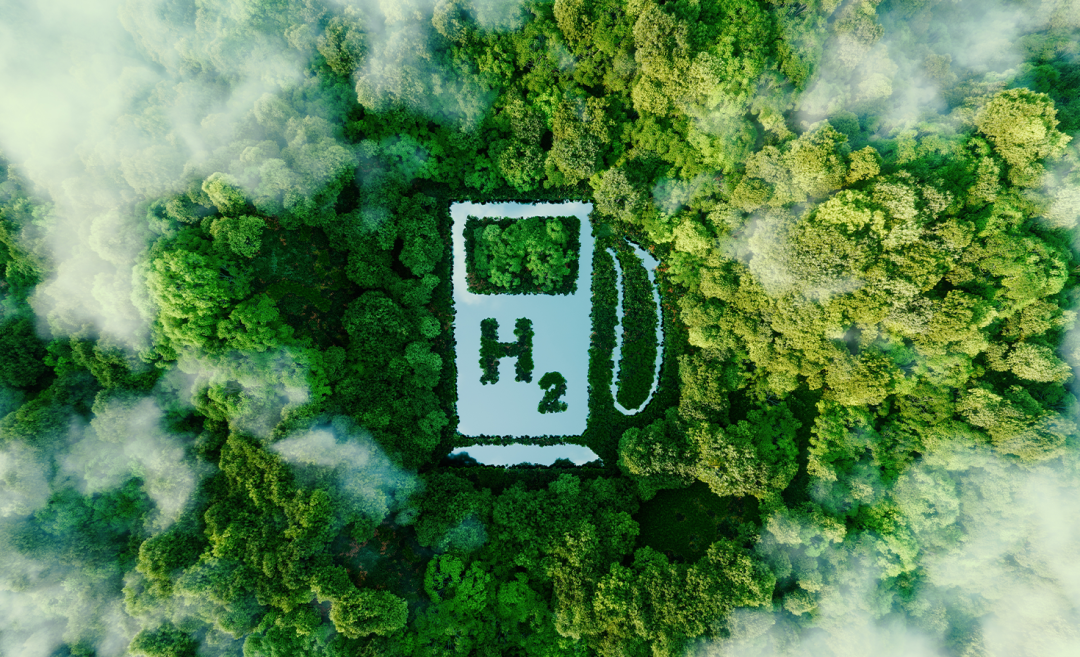 绿氢潜藏危机？新技术或成破局关键