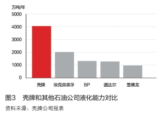 壳牌公司天然气业务发展战略及启示