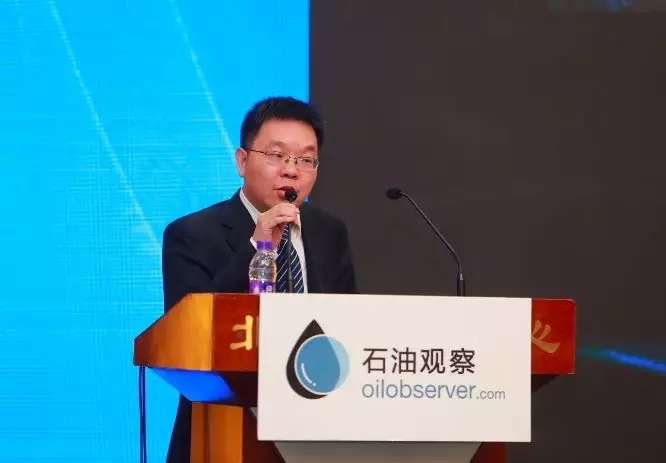 【CEW中国能源周】陈林：“放开两头，管住中间”——中国能源周上的能源价格改革研讨